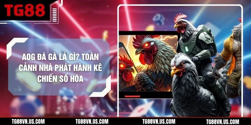 AOG Đá Gà Là Gì? Toàn Cảnh Nhà Phát Hành Kê Chiến Số Hóa