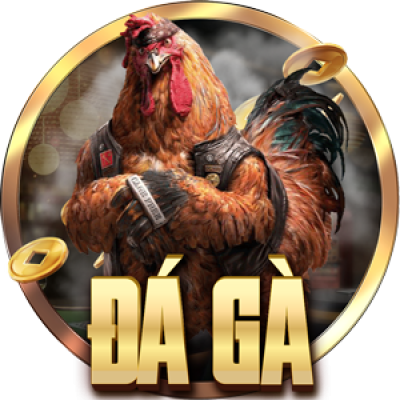 đá gà
