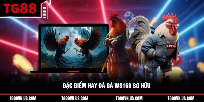 Đặc điểm hay đá gà WS168 sở hữu