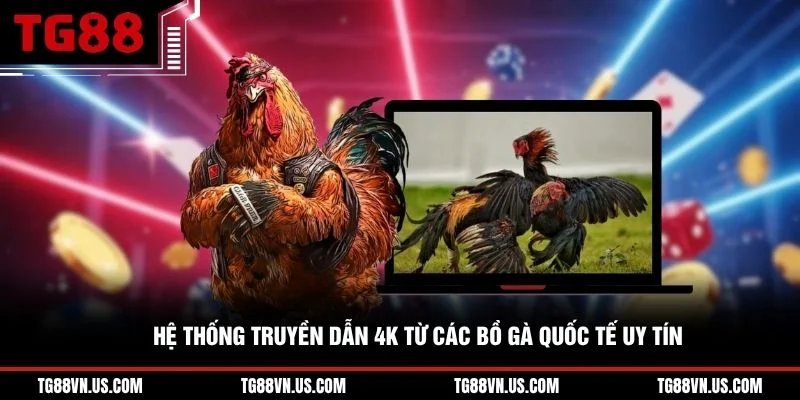 Hệ thống truyền dẫn 4K từ các bồ gà quốc tế uy tín 