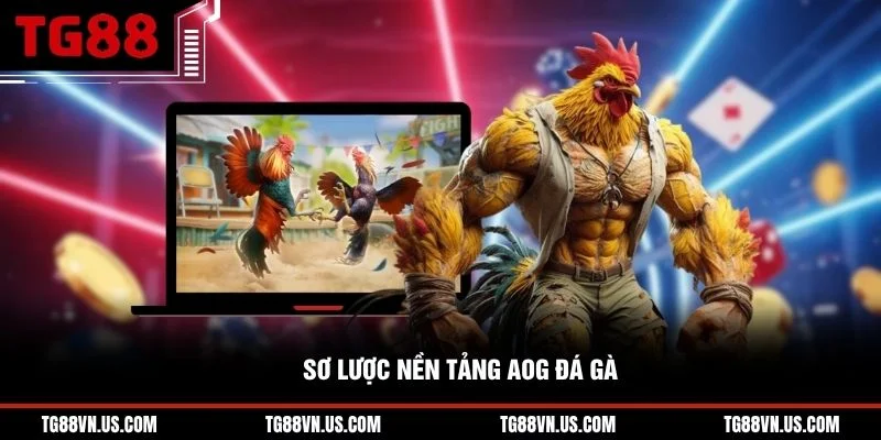 Sơ lược nền tảng AOG đá gà