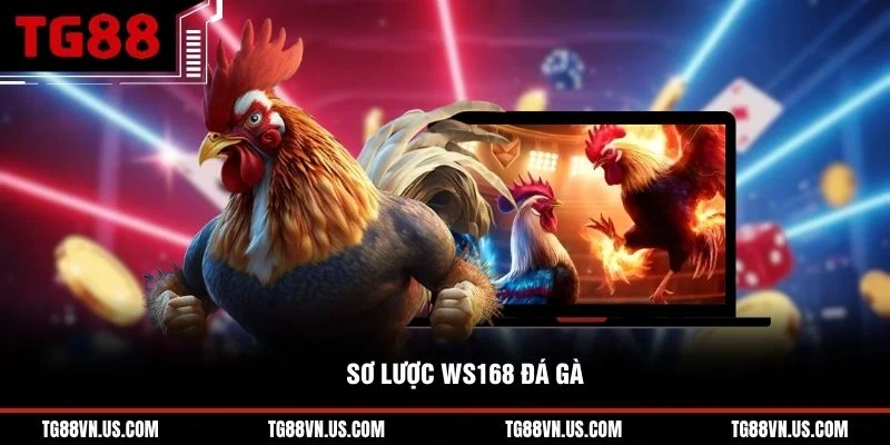 Sơ lược WS168 đá gà