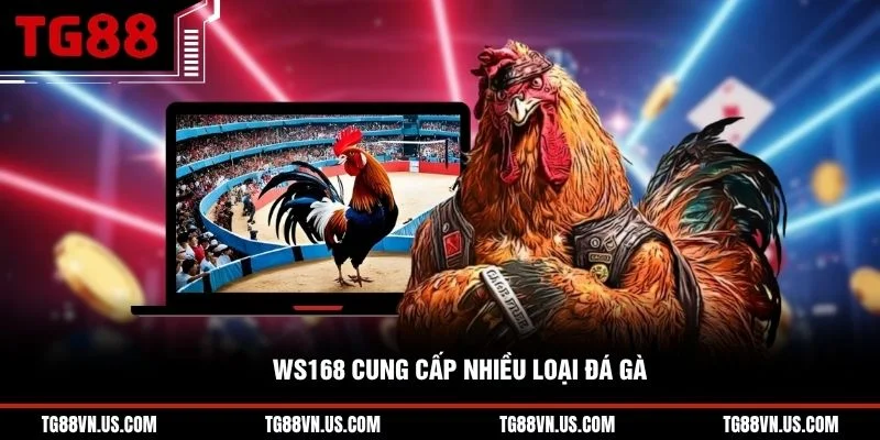 WS168 cung cấp nhiều loại đá gà