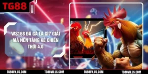 WS168 Đá Gà Là Gì? Giải Mã Nền Tảng Kê Chiến Thời 4.0
