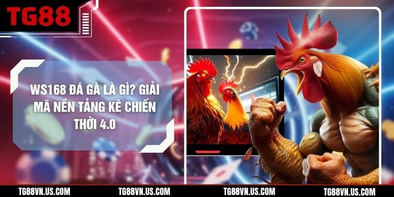 WS168 Đá Gà Là Gì? Giải Mã Nền Tảng Kê Chiến Thời 4.0